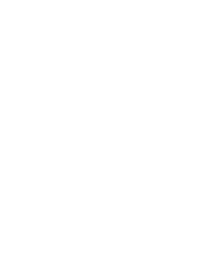 legal-icon-copy-copy