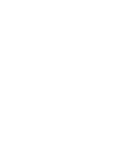 localseo-icon-copy-copy